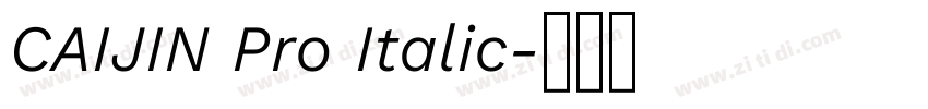 CAIJIN Pro Italic字体转换 CAIJIN Pro Italic字体转换